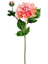 Load image into Gallery viewer, Coral