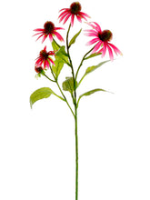 Load image into Gallery viewer, Cerise