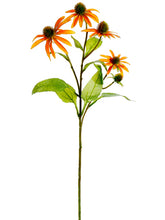 Load image into Gallery viewer, Orange