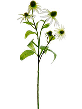 Load image into Gallery viewer, White Green