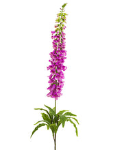 Load image into Gallery viewer, Lavender