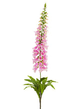 Load image into Gallery viewer, Pink