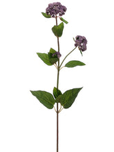 Load image into Gallery viewer, Lavender