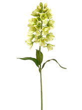 Load image into Gallery viewer, Green