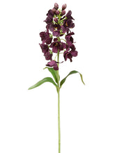 Load image into Gallery viewer, Dark Purple