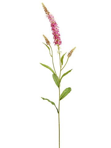 Two Tone Cerise