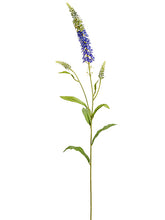 Load image into Gallery viewer, Purple