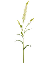 Load image into Gallery viewer, White