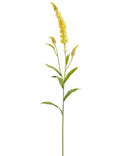 Load image into Gallery viewer, Yellow