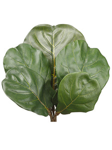 10"-13.5"H Fiddle Leaf Spray (5 ea/bag) Green (pack of 12)