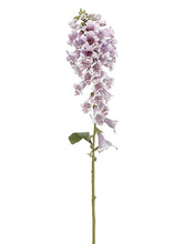 Load image into Gallery viewer, Lavender