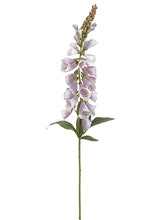 Load image into Gallery viewer, Lavender