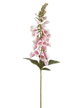 Load image into Gallery viewer, Pink Rose