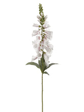 Load image into Gallery viewer, White Pink