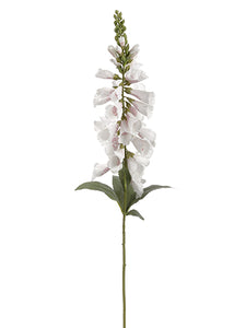 White Pink