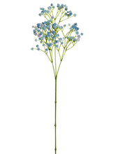 Load image into Gallery viewer, Blue