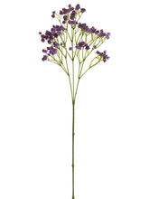 Load image into Gallery viewer, Purple