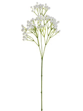 Load image into Gallery viewer, White