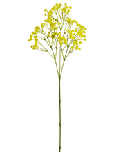 Load image into Gallery viewer, Yellow