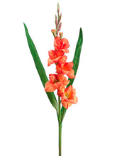 Load image into Gallery viewer, Flame Orange