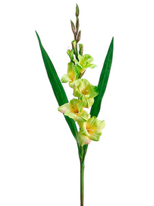 Green Yellow
