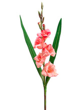Load image into Gallery viewer, Pink Cerise