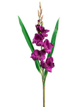 Load image into Gallery viewer, Purple