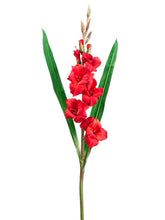 Load image into Gallery viewer, Red