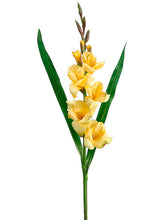 Load image into Gallery viewer, Yellow