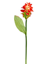 Load image into Gallery viewer, Two Tone Red