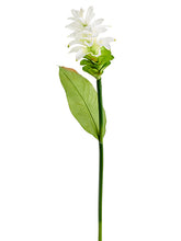 Load image into Gallery viewer, White