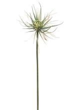 Load image into Gallery viewer, Green