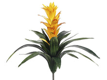 Load image into Gallery viewer, Two Tone Yellow