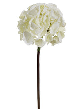 Load image into Gallery viewer, Ivory