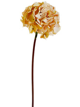 Load image into Gallery viewer, Two Tone Peach