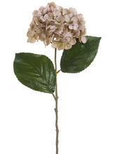 Load image into Gallery viewer, Antique Mauve