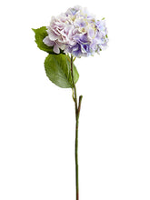 Load image into Gallery viewer, Two Tone Amethyst