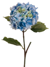 Load image into Gallery viewer, Blue