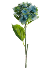 Load image into Gallery viewer, Green Blue