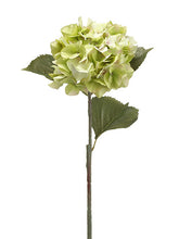 Load image into Gallery viewer, Green Pink