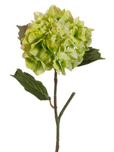 Load image into Gallery viewer, Two Tone Green