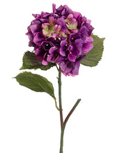 Load image into Gallery viewer, Orchid