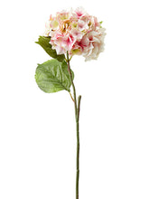 Load image into Gallery viewer, Two Tone Pink