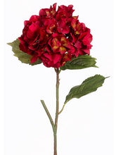 Load image into Gallery viewer, Red