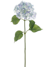 Load image into Gallery viewer, Baby Blue