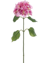 Load image into Gallery viewer, Peach Cream