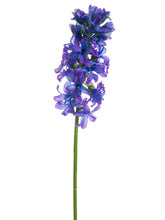 Load image into Gallery viewer, Helio