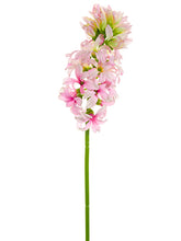 Load image into Gallery viewer, Lilac Pink
