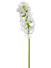 Load image into Gallery viewer, White