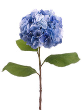 Load image into Gallery viewer, Blue Gray